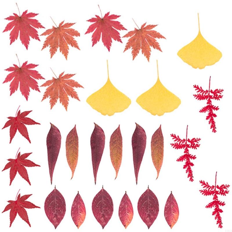 Flor prensada seca para moldes - Art And Craft Nature reseña y precio
