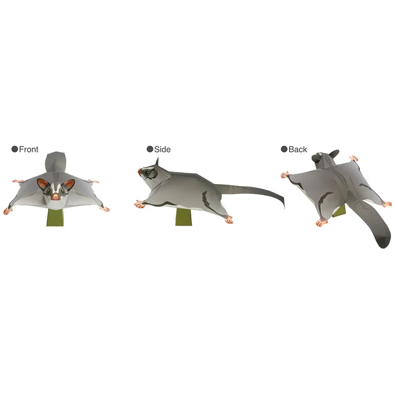 Planeador de azúcar, ratón vol - Art And Craft Nature reseña y precio
